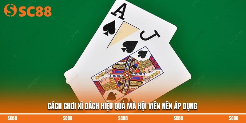 Cách chơi xì dách hiệu quả mà hội viên nên áp dụng