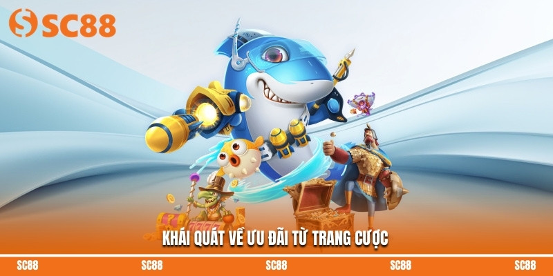 Khái quát về ưu đãi từ trang cược